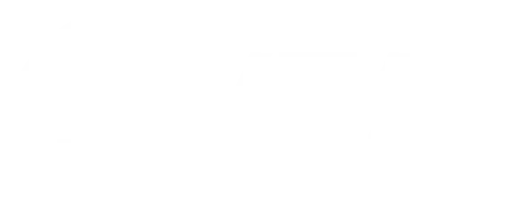 Hongxiu brand logo: white circular emblem with black abstract wave design, bold Chinese characters “红绣” and English “HONG XIU” on black background.