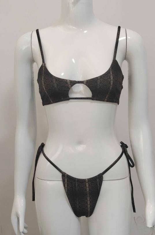 Lustrous Metallic Plunge Bikini Set