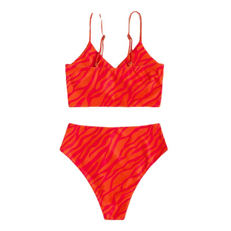 V-Neck Two-Piece Bikini Set with High-Waist Bottom view 5