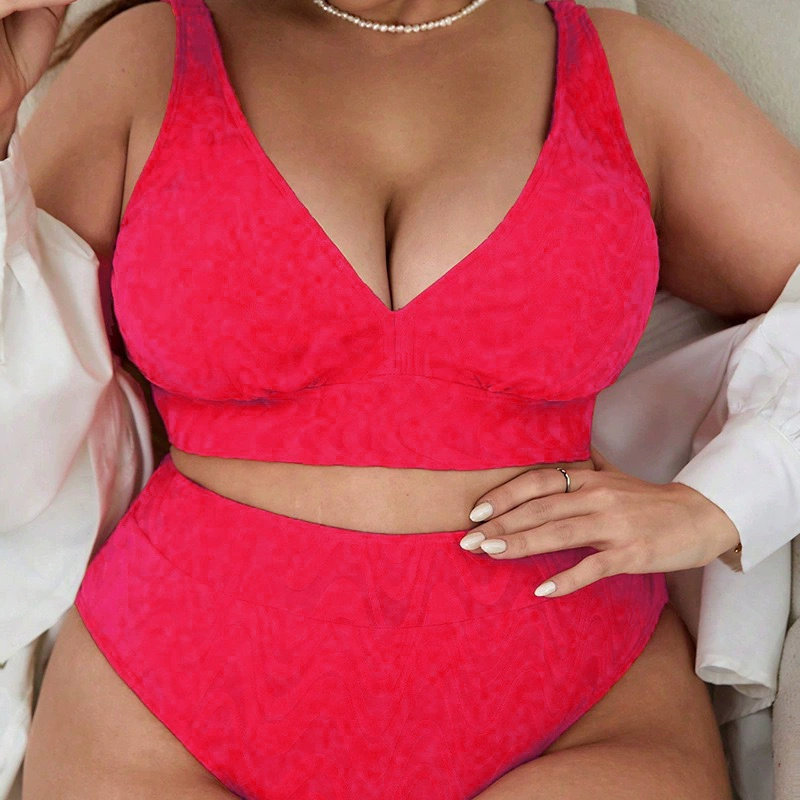 Two-Piece V-Neck High-Waisted Bikini Set with Adjustable Straps view 4