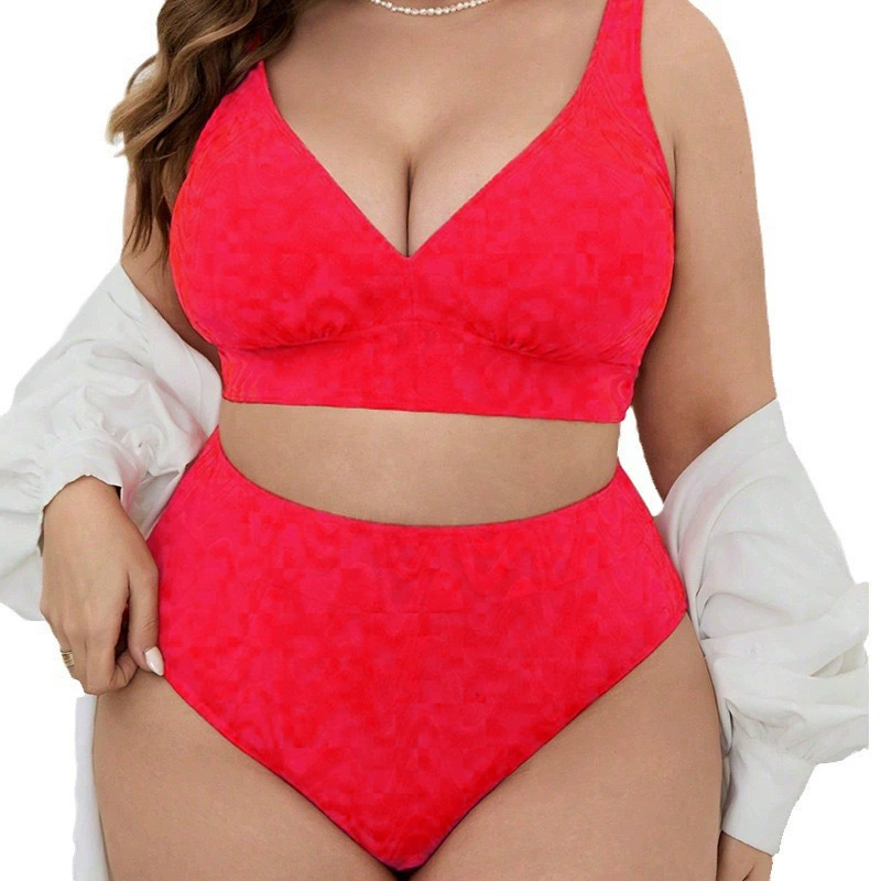 Two-Piece V-Neck High-Waisted Bikini Set with Adjustable Straps view 5