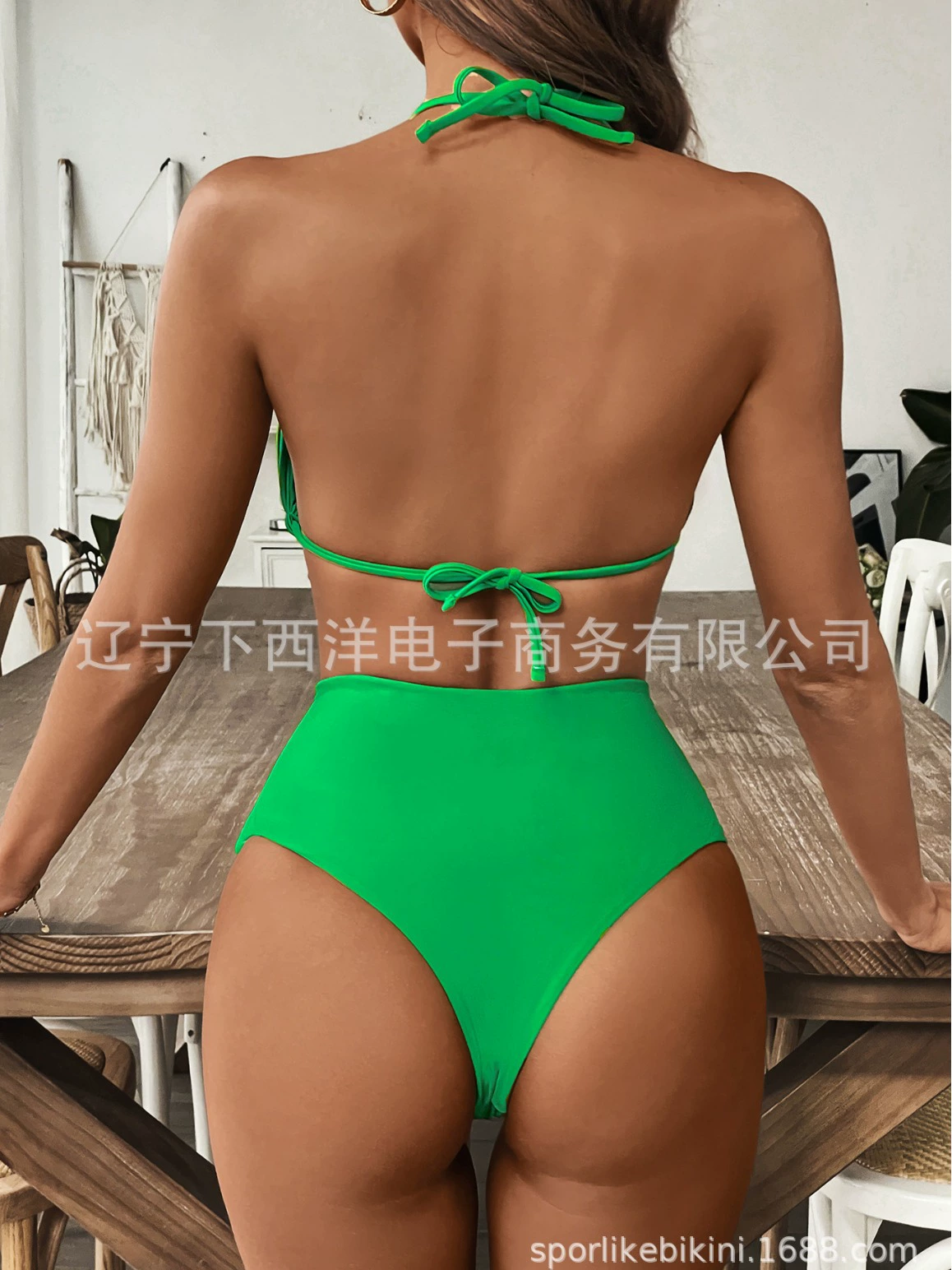Halter Triangle Bikini Set with High Waist Bottom