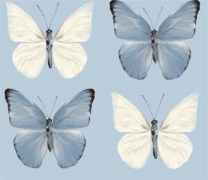 Animal preset print 19297