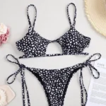 Two-Piece Bikini Set with Cutout Top and Tie-Side Bottoms