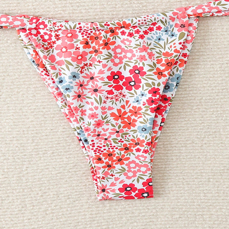 Two-Piece Triangle Halter Bikini Set with Side-Tie Bottom view 19